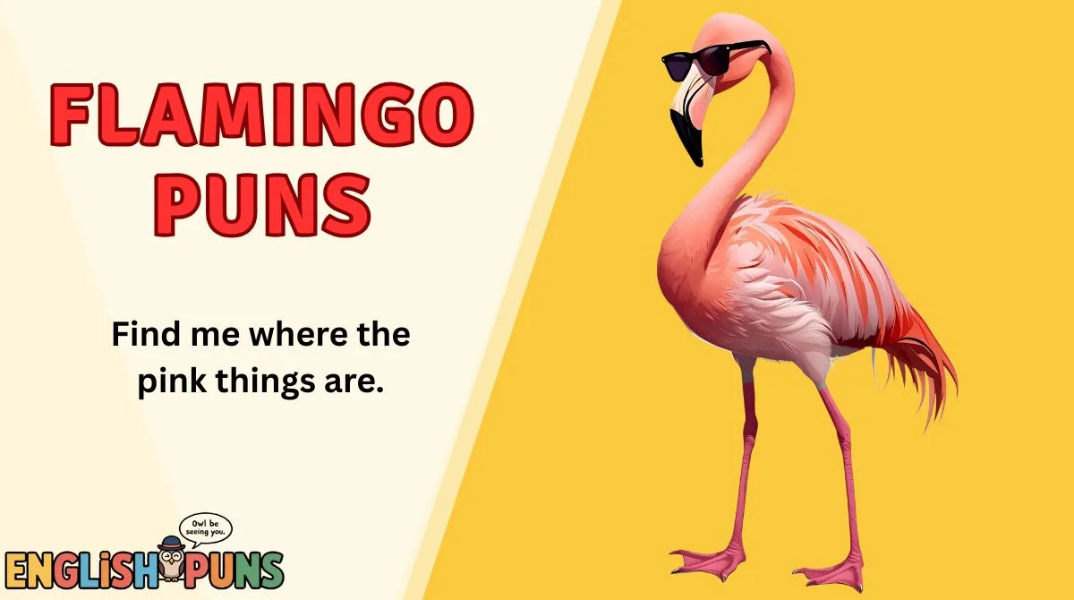 Flamingo Puns