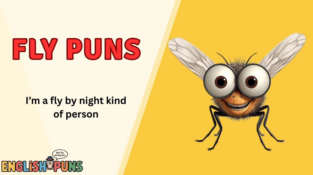 Fly Puns