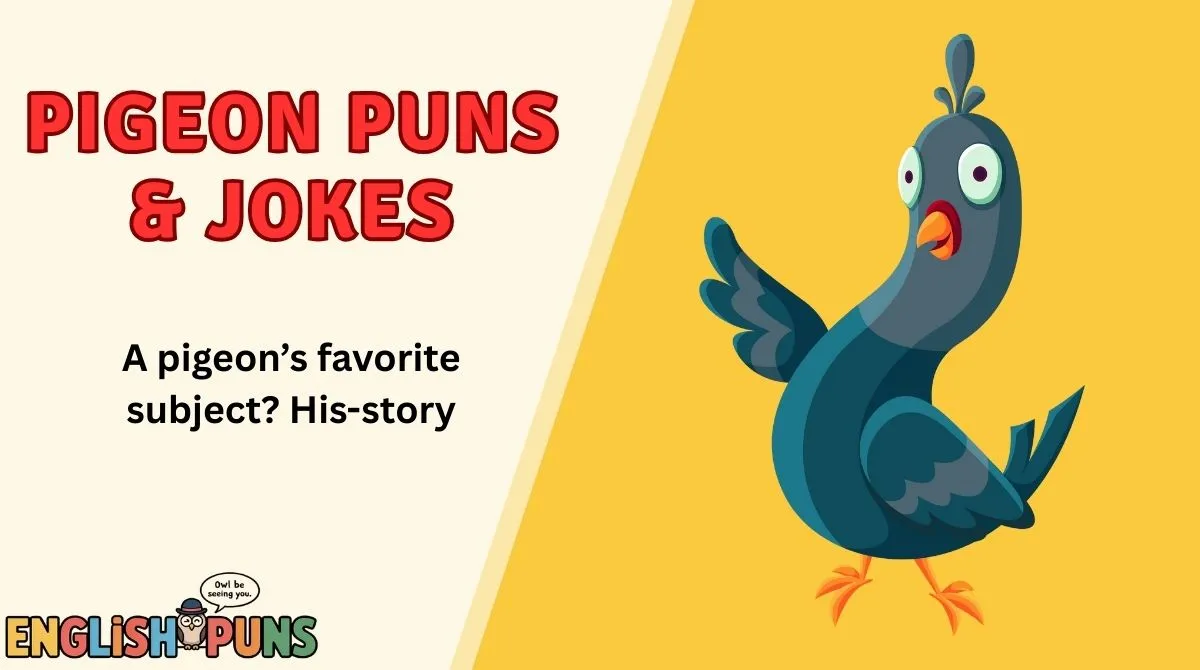 Pigeon Puns & Jokes