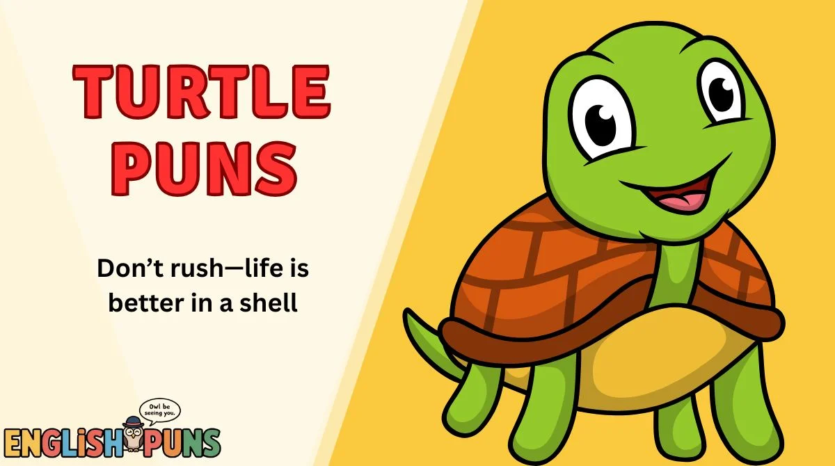 Turtle Puns