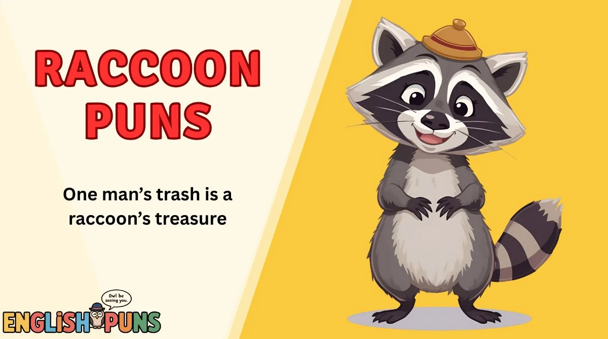 Raccoon Puns
