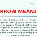 Burrow Meaning: