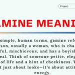 Gamine Meaning