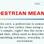 Pedestrian Meaning